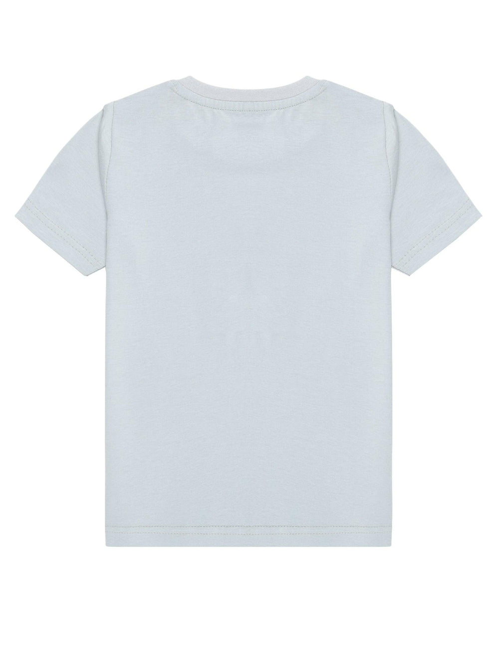 Pearl Grey Tell Me Why Print T-Shirt - Urbanrac