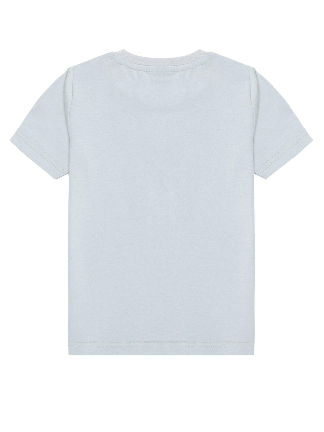 Pearl Grey Tell Me Why Print T-Shirt - Urbanrac
