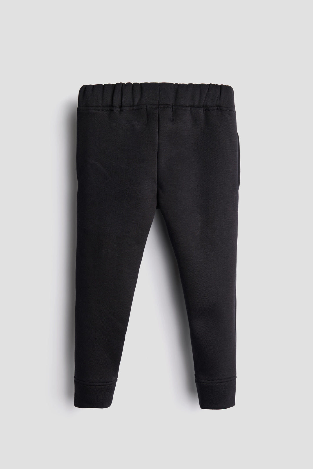 GOTS Certified Organic Cotton Sweatshirt pant set | Dino | Kids