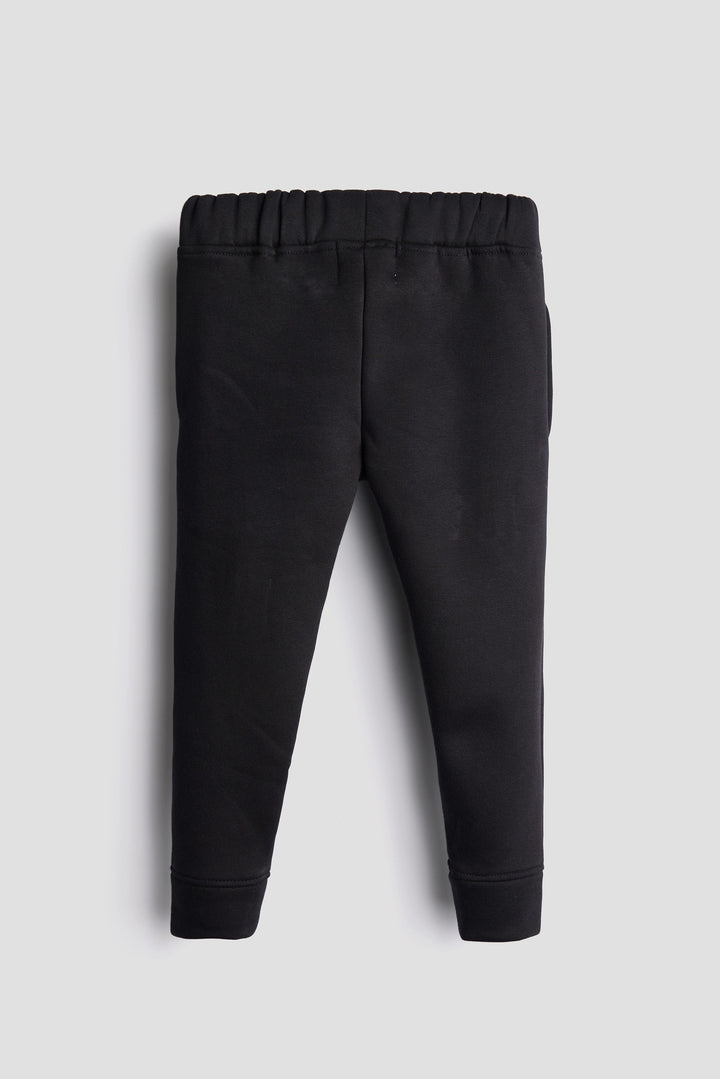 GOTS Certified Organic Cotton Sweatshirt pant set | Dino | Kids