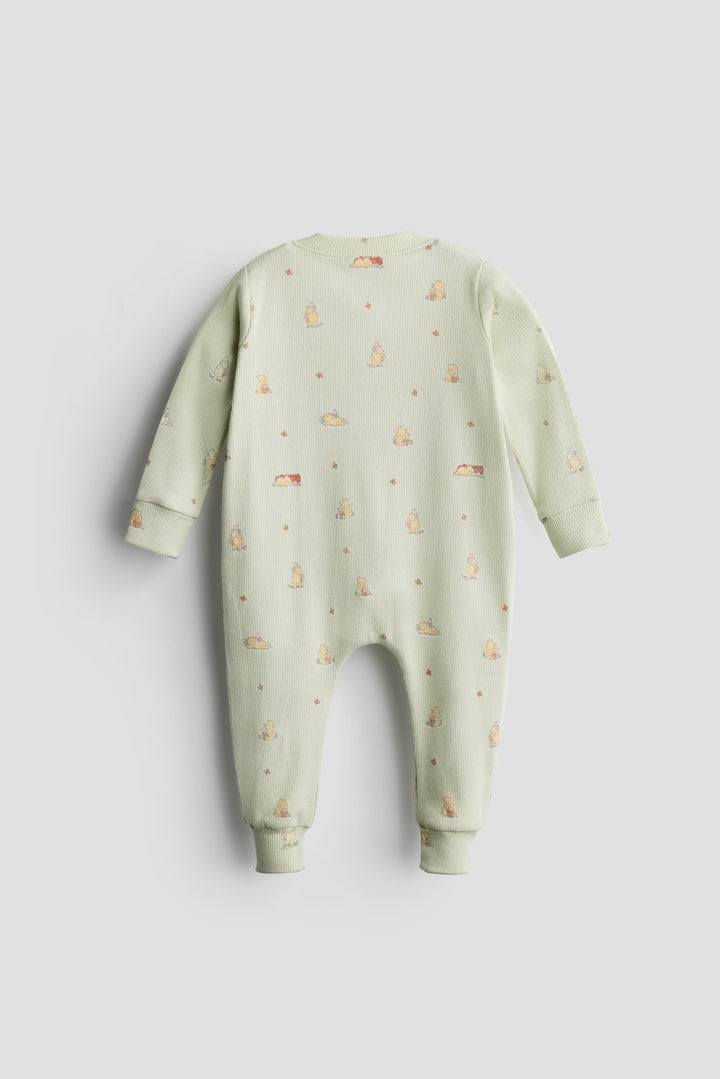 2 Way Double Zipper Sleepsuit In Sage Green For Babies