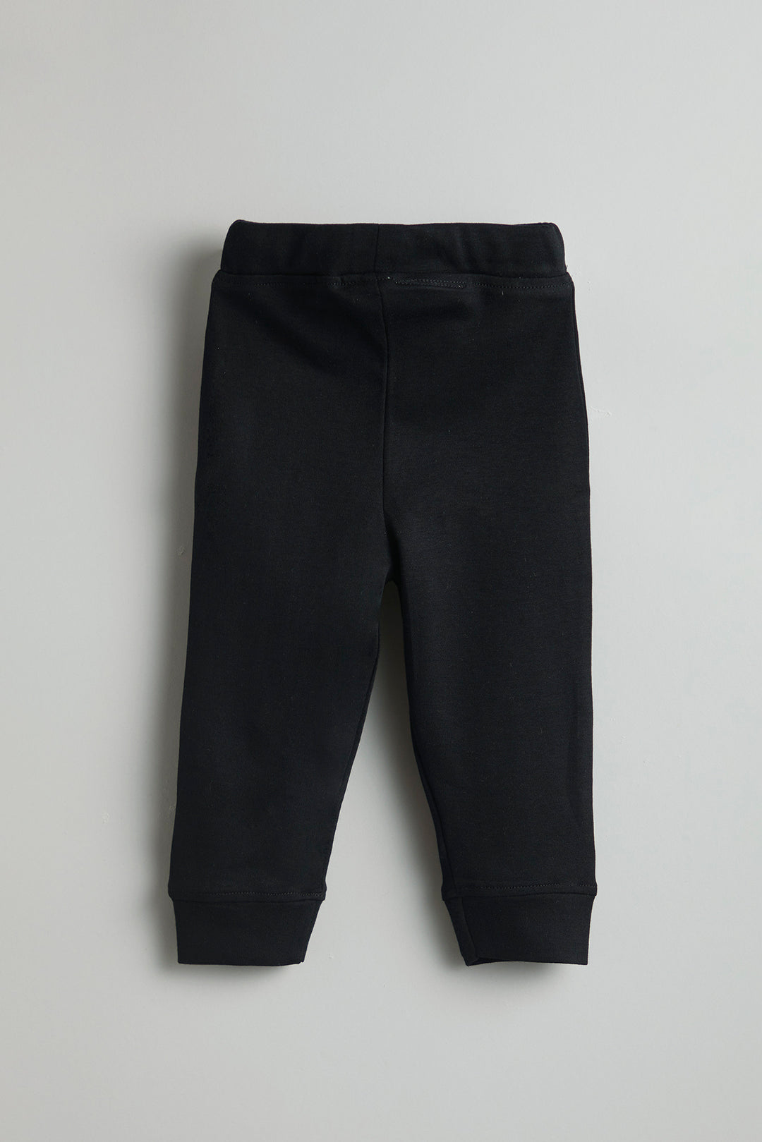 GOTS Certified Organic Cotton Sweatshirt Pant Set | Dino | Kids