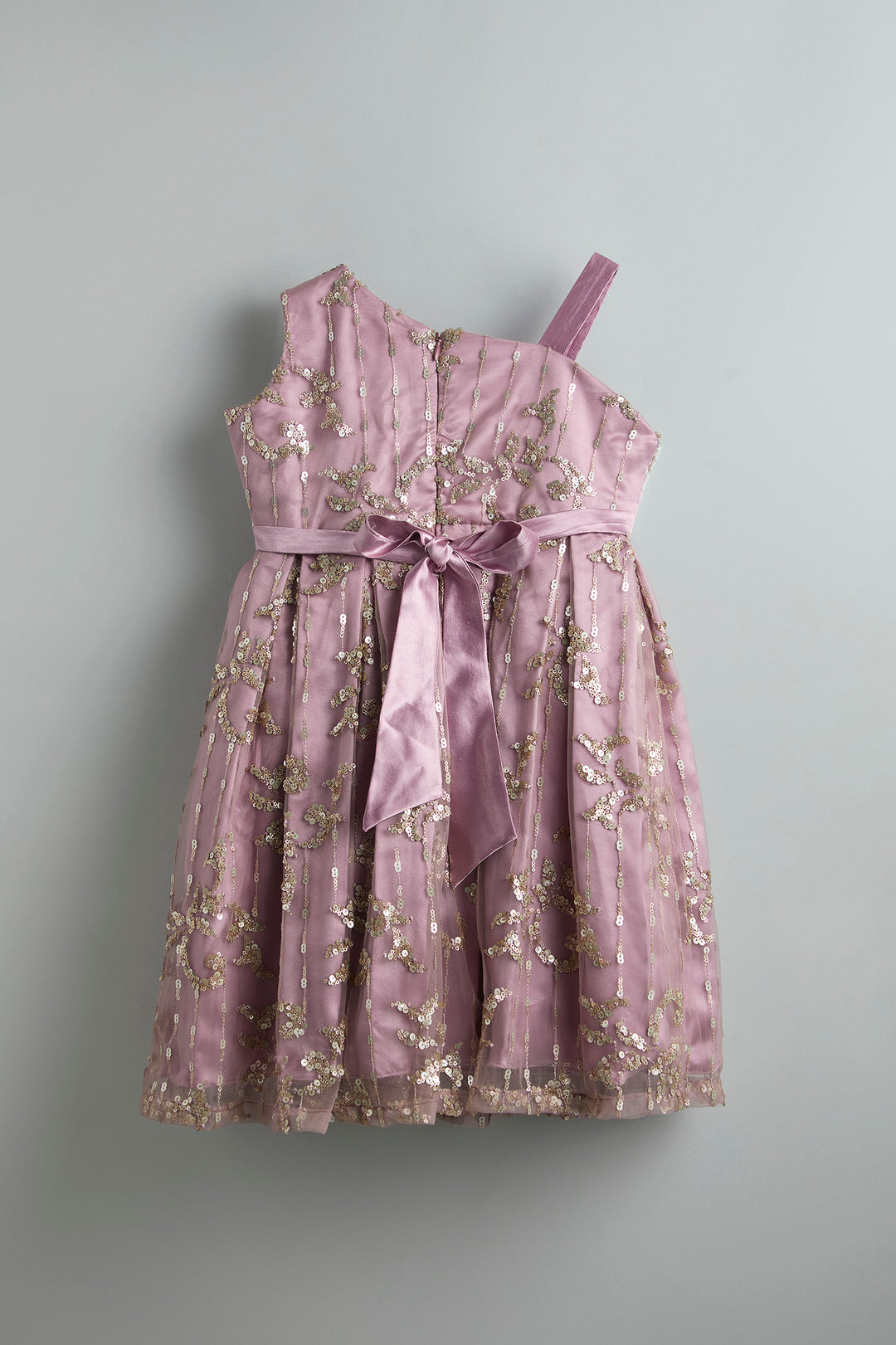 Celebration Dress - Mauve net party dress