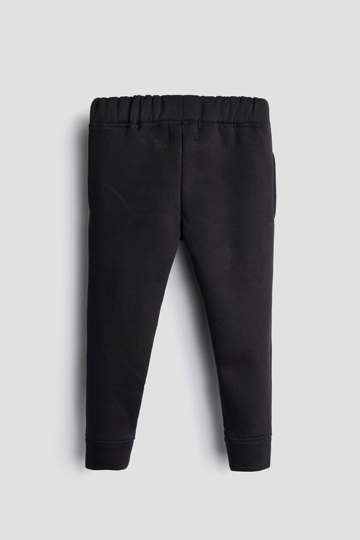 Organic Cotton Sweat Pant | Dino | Kids